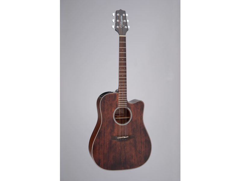 TAKAMINE SERIE G20