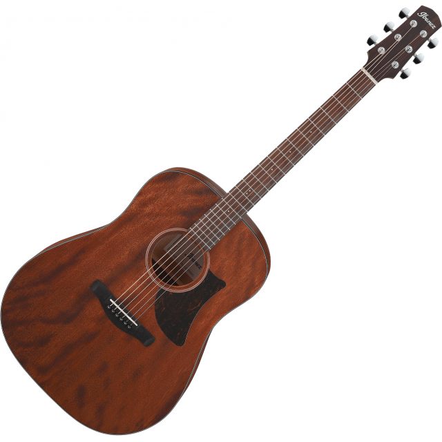 GUITARE ACOUSTIQUE IBANEZ