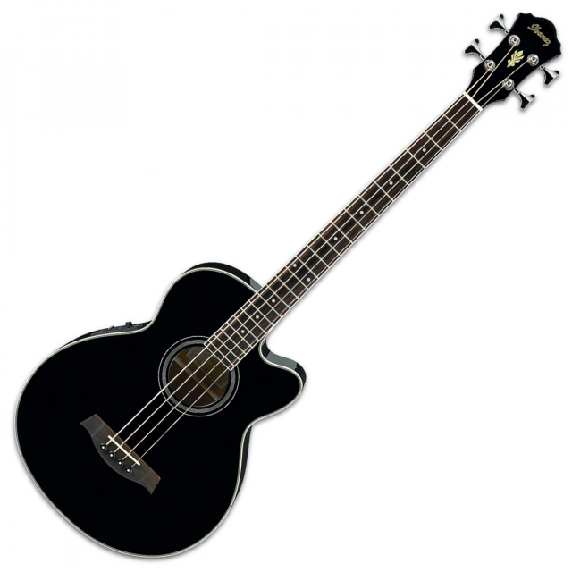 BASSE ACOUSTIQUE IBANEZ