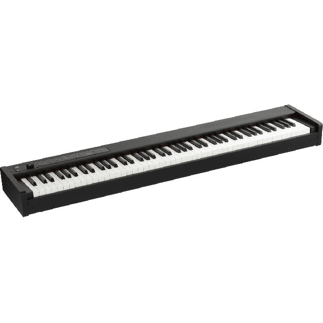 PIANO NUMERIQUE KORG SERIE D