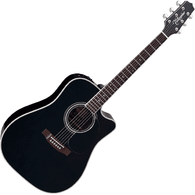 TAKAMINE SERIE LEGACY