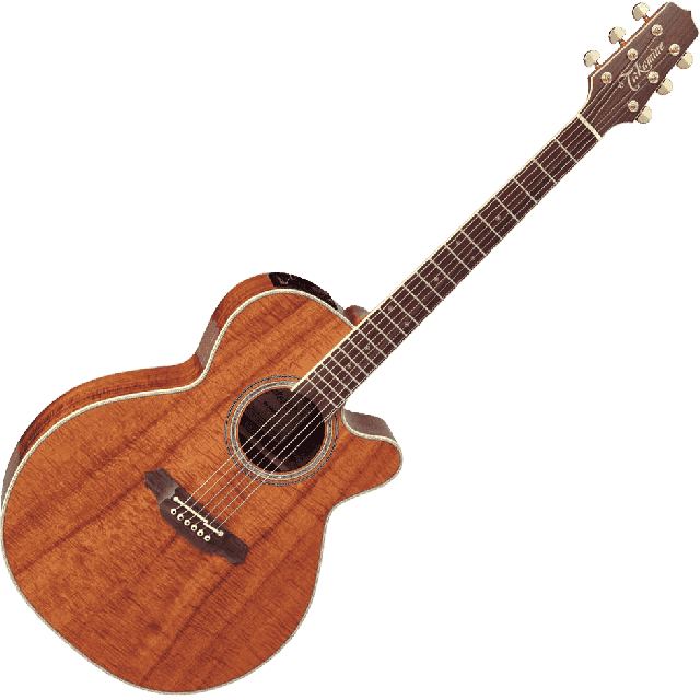 TAKAMINE SERIE LEGACY