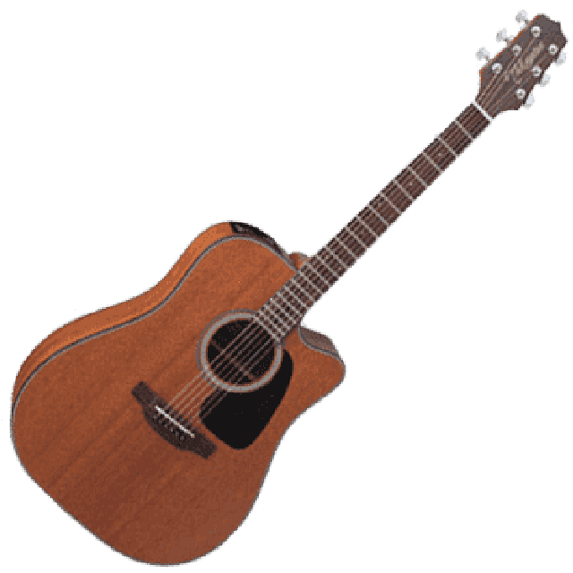 TAKAMINE SERIE G10