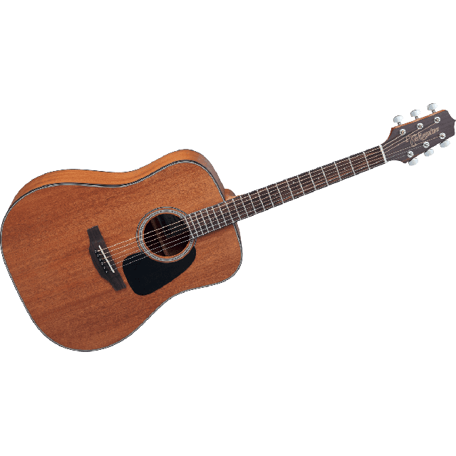 TAKAMINE SERIE G10