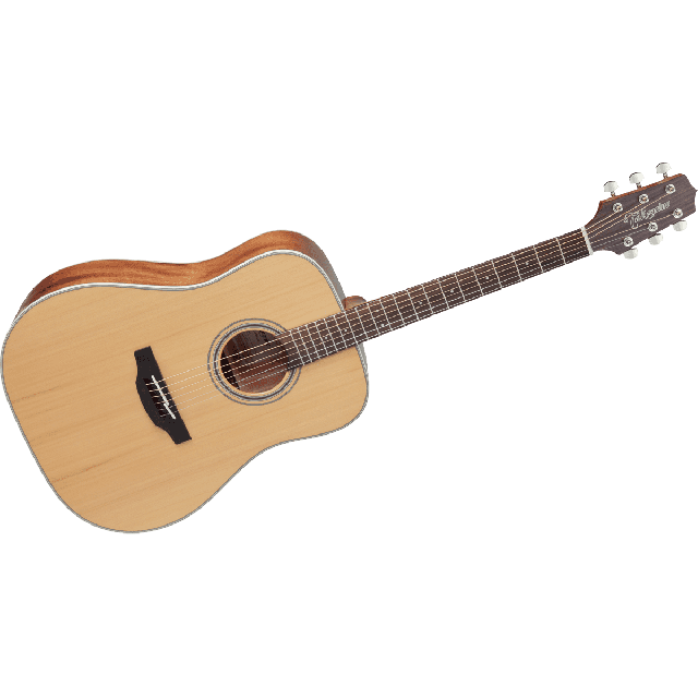 TAKAMINE SERIE G20