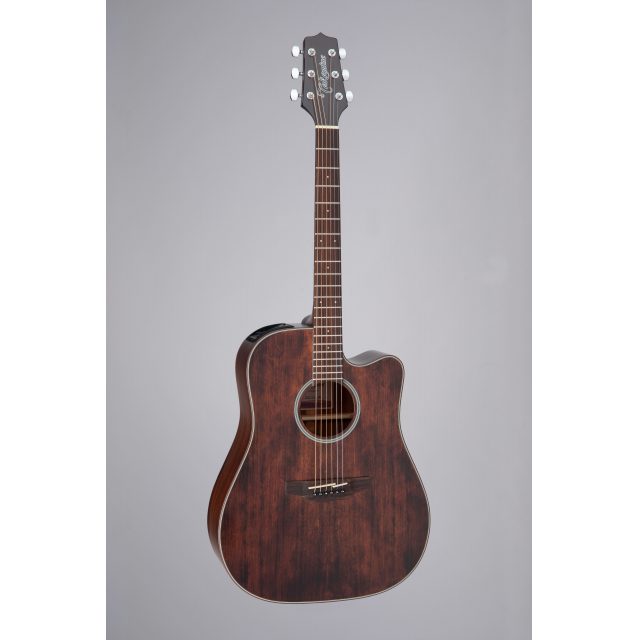 TAKAMINE SERIE G20