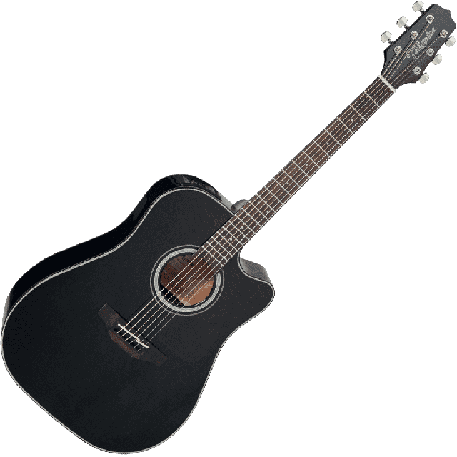 TAKAMINE SERIE G