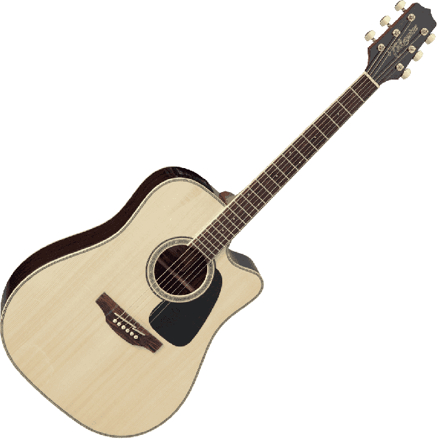 TAKAMINE SERIE 51