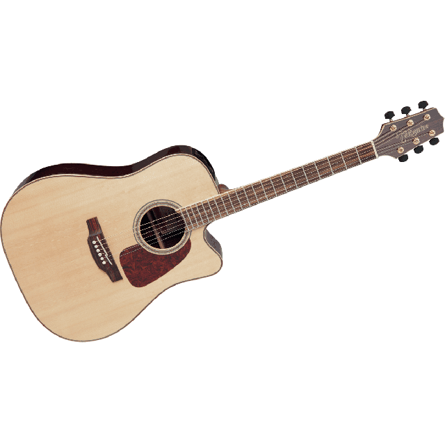 TAKAMINE SERIE G90