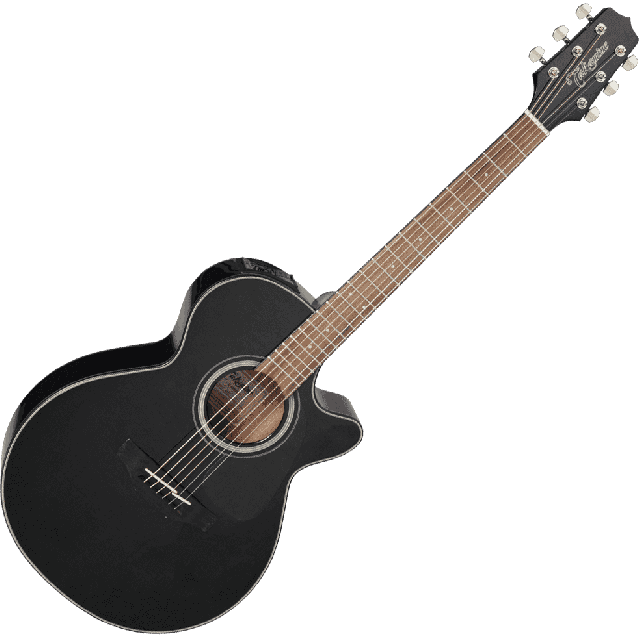 TAKAMINE SERIE G30