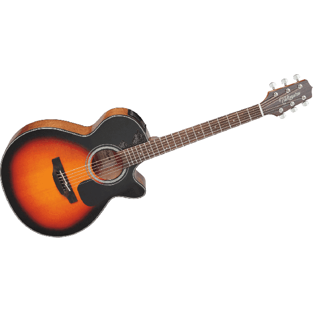 TAKAMINE SERIE G