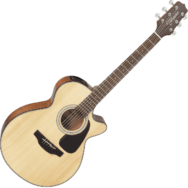 TAKAMINE SERIE G30