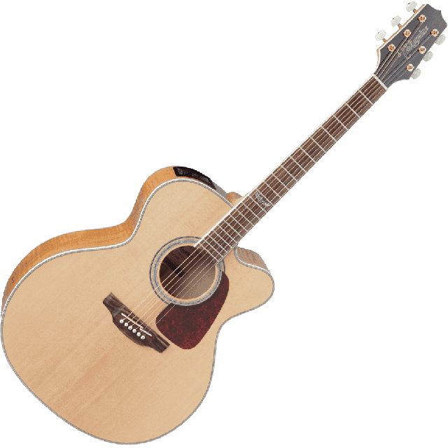 TAKAMINE SERIE G70