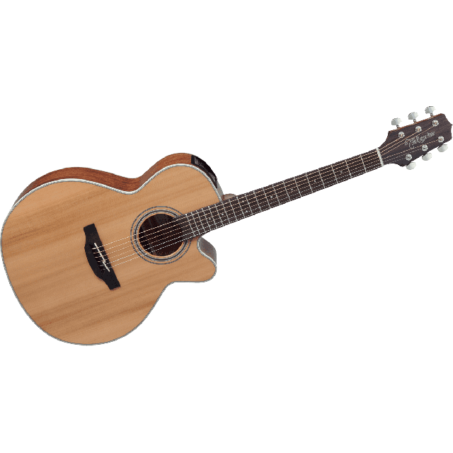 TAKAMINE SERIE G20