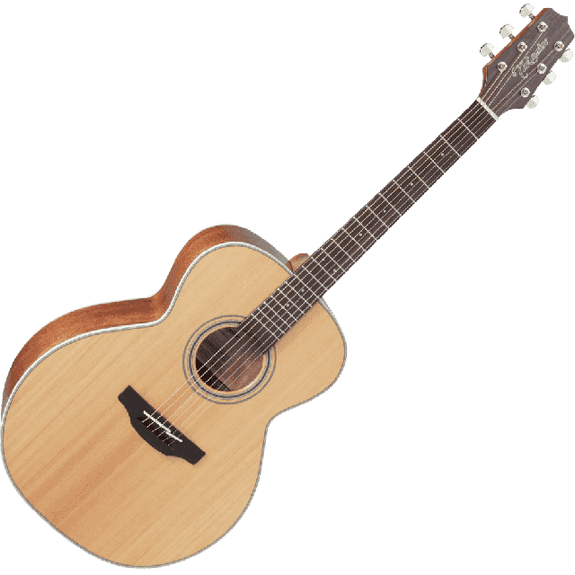 TAKAMINE SERIE G20