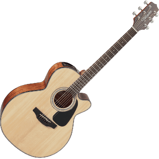 TAKAMINE SERIE G30