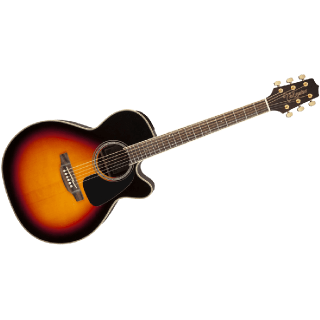 TAKAMINE SERIE G50