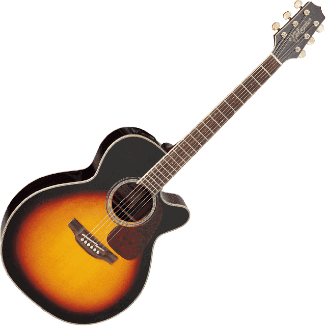 TAKAMINE SERIE G70