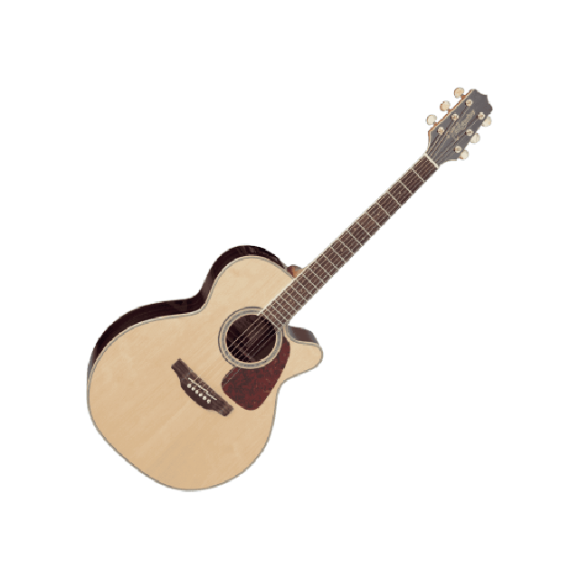 TAKAMINE SERIE G70