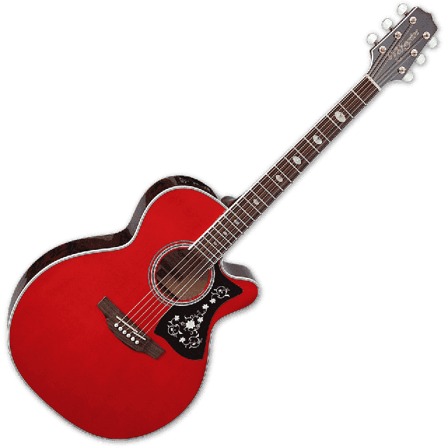 TAKAMINE SERIE G70