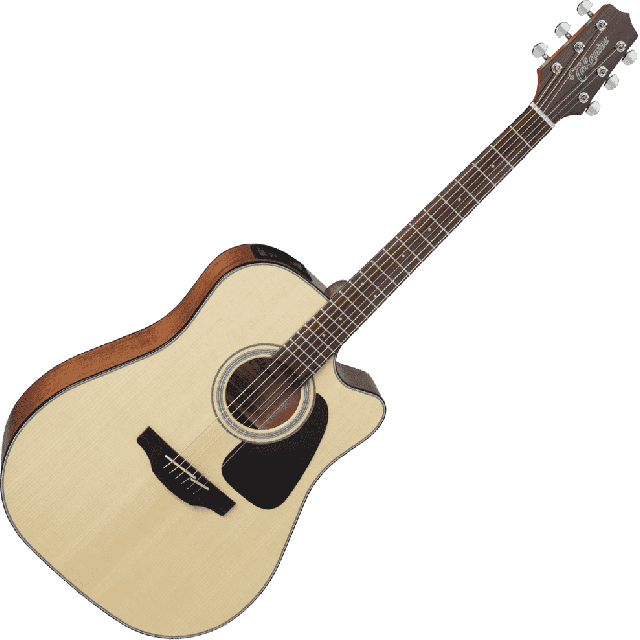 TAKAMINE SERIE G30