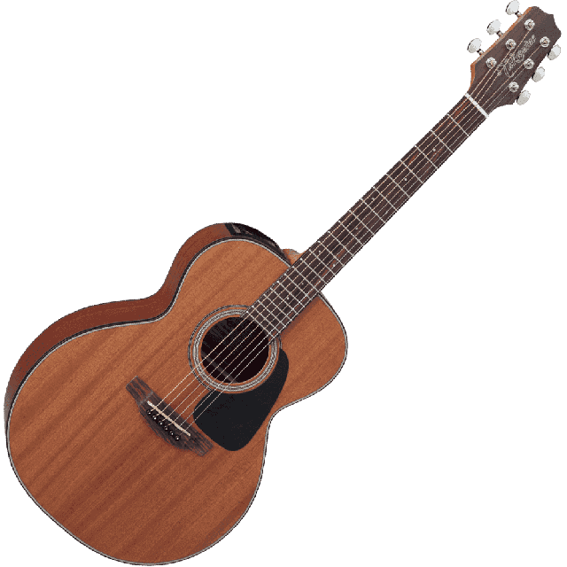 TAKAMINE SERIE G10