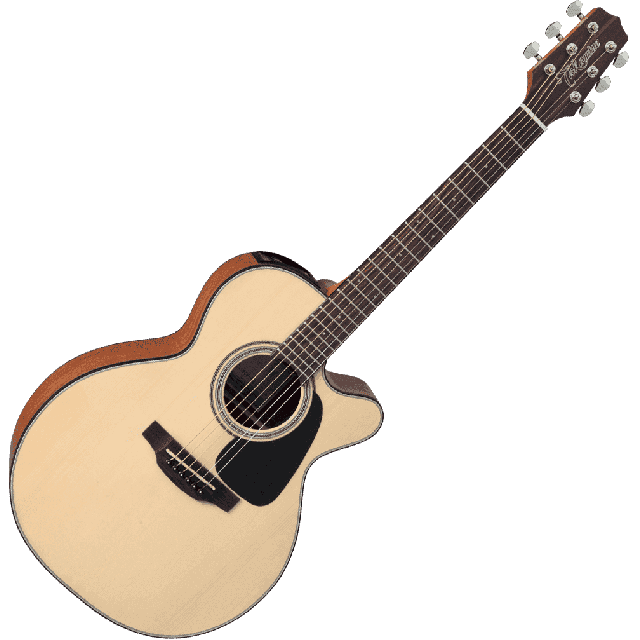 TAKAMINE G10