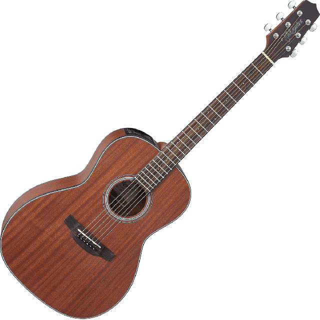 TAKAMINE G10