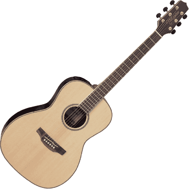 TAKAMINE SERIE G90