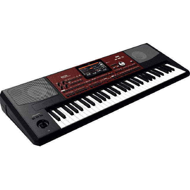 KORG CLAVIER ARRANGEUR SERIE PA