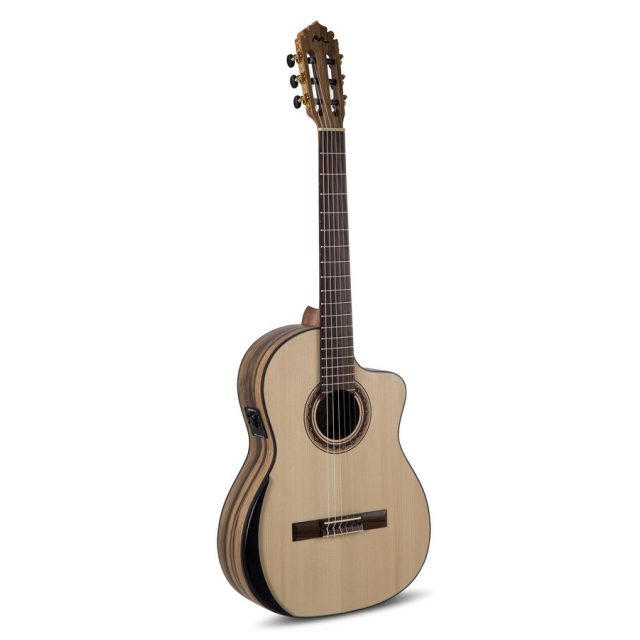 GUITARE CLASSIQUE MANUEL RODRIGUEZ PRIVATE STOCK