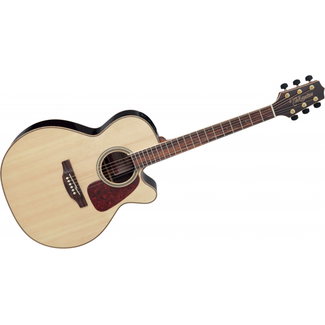 TAKAMINE SERIE G93