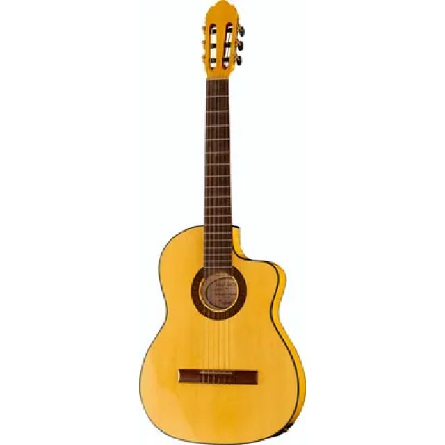 GUITARE CLASSIQUE GEWA PROARTE
