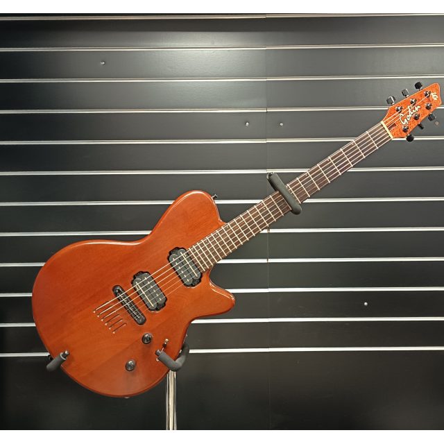 GUITARE ELECTRIQUE GODIN