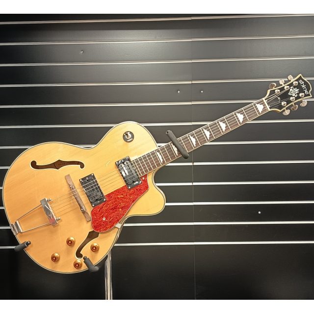 GUITARE JAZZ SHINE