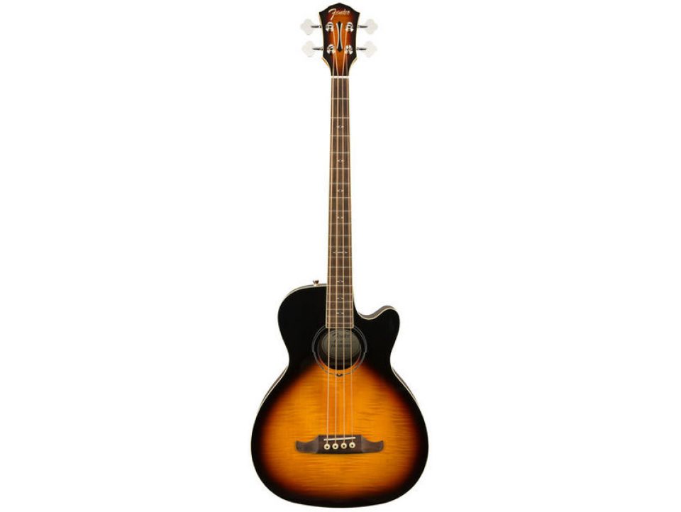 FENDER ACOUSTICS BASS SERIES