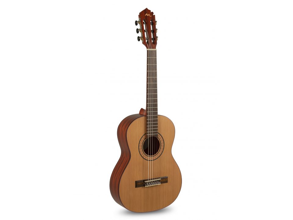 GUITARE CLASSIQUE MANUEL RODRIGUEZ SERIE TRADICION