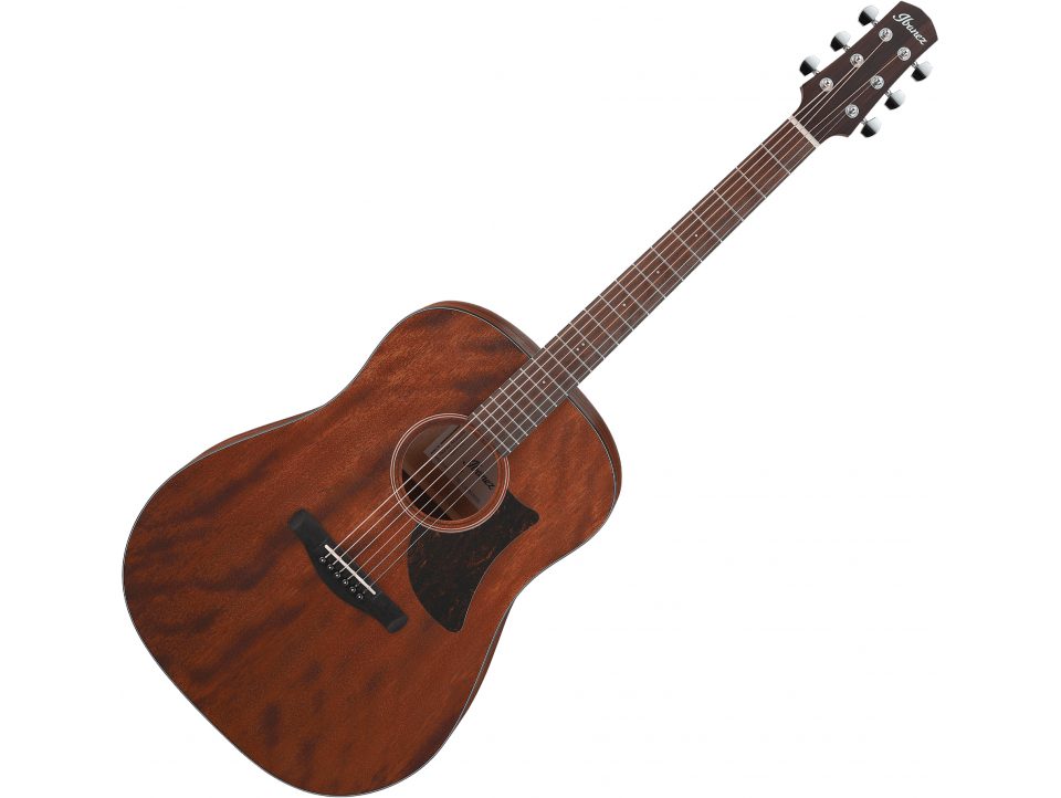 GUITARE ACOUSTIQUE IBANEZ