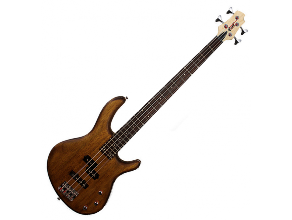 BASSE CORT SERIE ACTION PJ