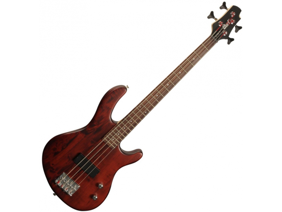 BASSE CORT SERIE ACTION JUNIOR