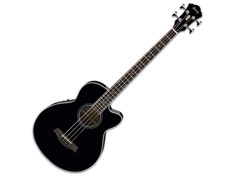 BASSE ACOUSTIQUE IBANEZ