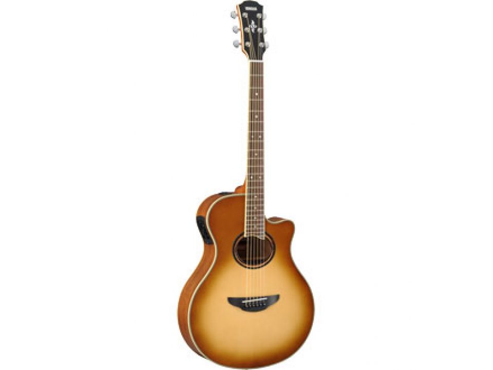 YAMAHA SERIE APX