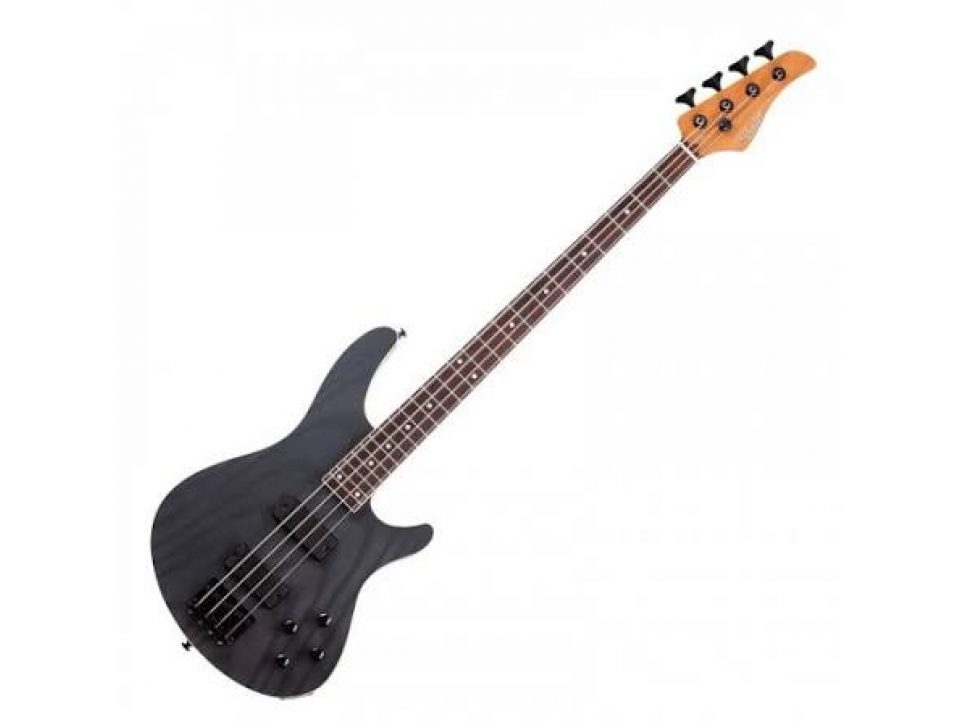 SCHECTER SERIE C-4