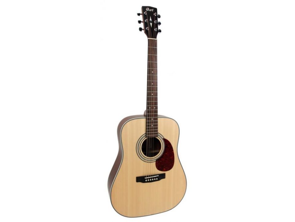 GUITARE ACOUSTIQUE CORT SERIE EARTH