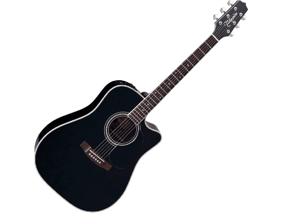 TAKAMINE SERIE LEGACY