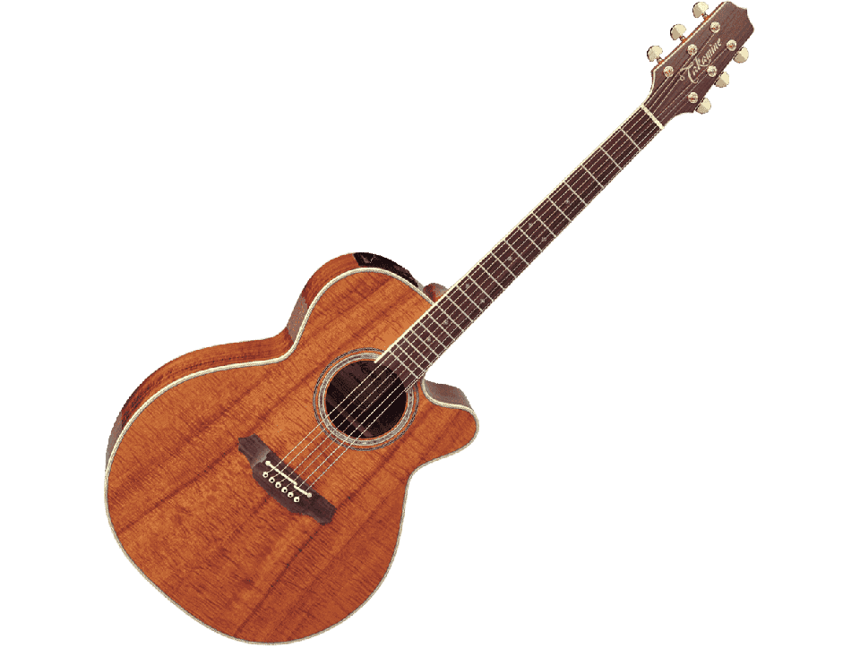 TAKAMINE SERIE LEGACY