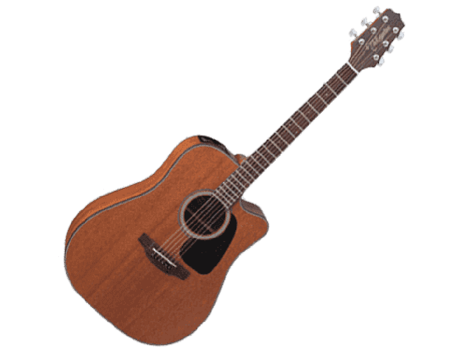 TAKAMINE SERIE G10