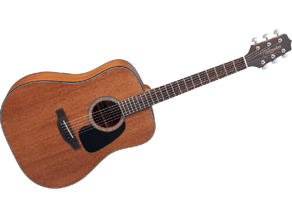 TAKAMINE SERIE G10