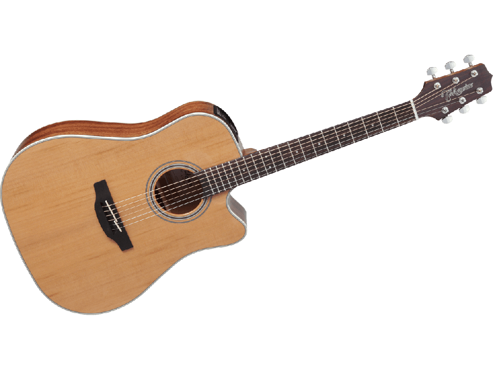 TAKAMINE SERIE G20