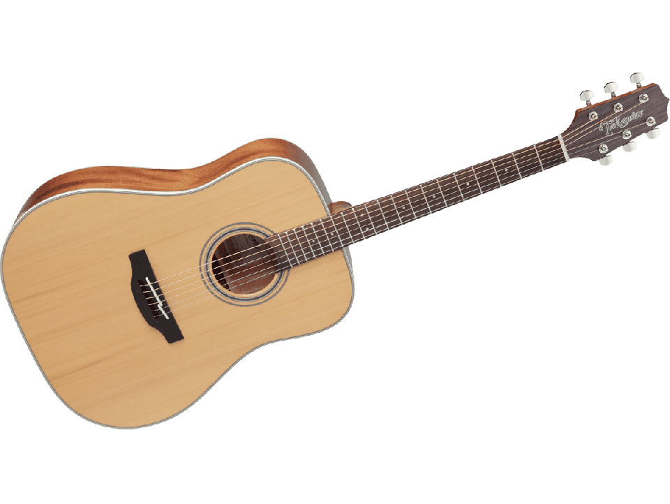 TAKAMINE SERIE G20